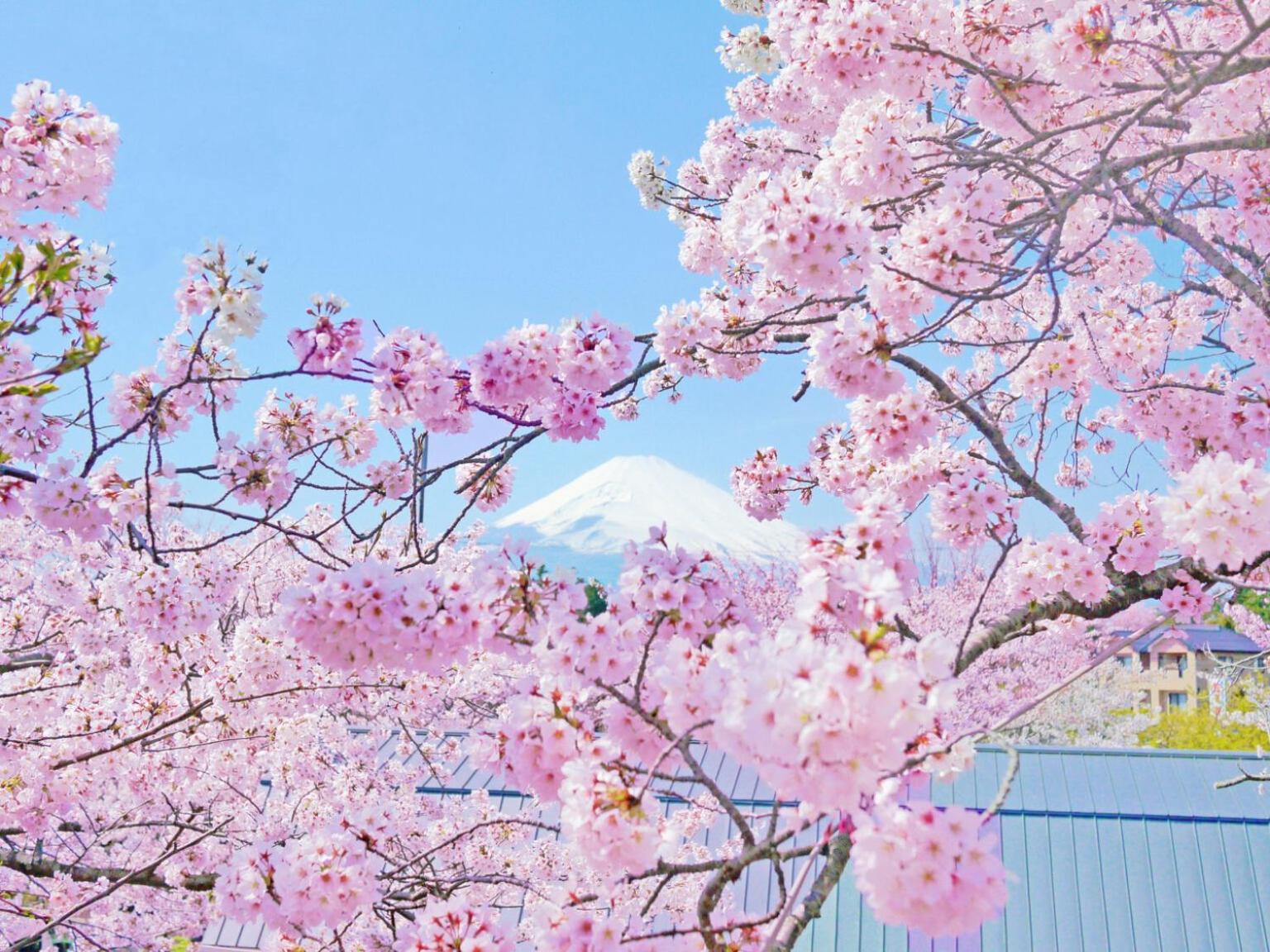 Gotemba Kogen Tokinosumika Hotel Bagian luar foto